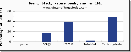 lysine and nutrition facts in black beans per 100g